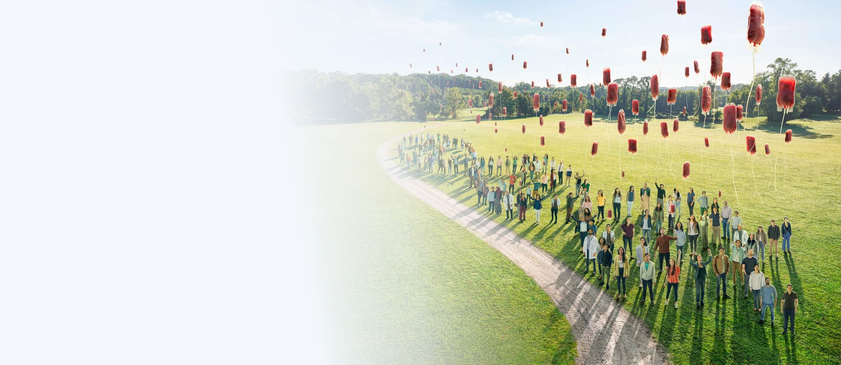 A group of people on a meadow releasing balloons.
